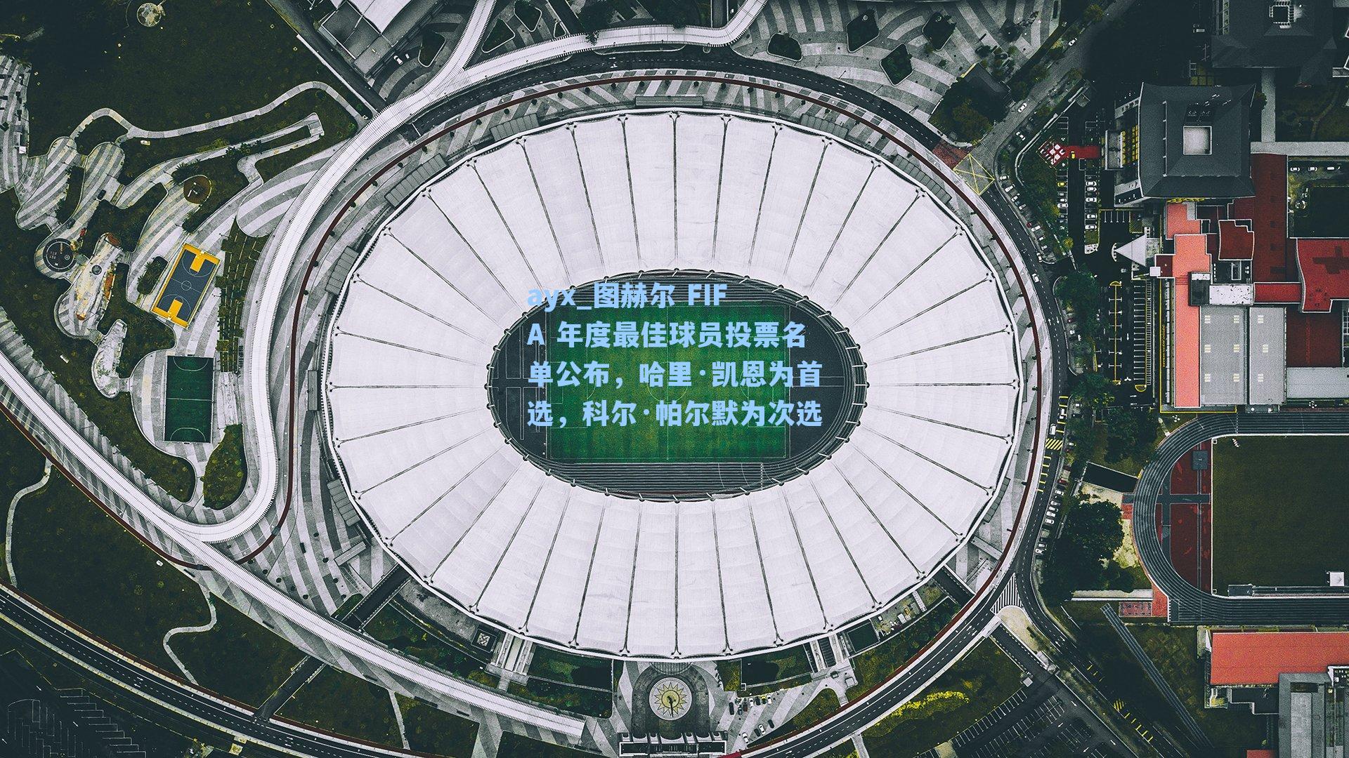 图赫尔 FIFA 年度最佳球员投票名单公布，哈里·凯恩为首选，科尔·帕尔默为次选